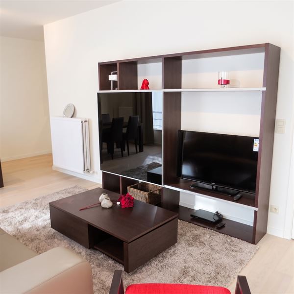 Furnished apartment