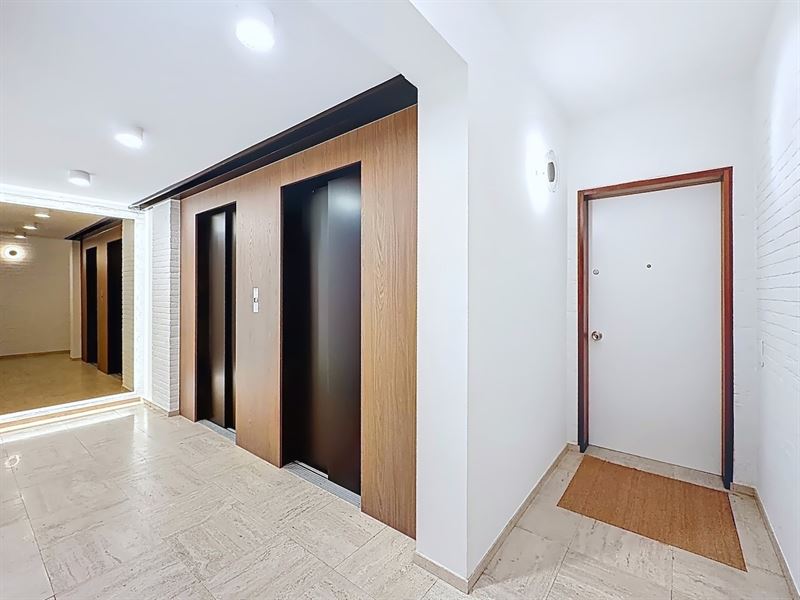 Grand appartement rénové 4 chambres et terrasses