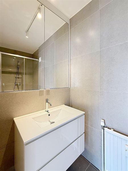 Grand appartement rénové 4 chambres et terrasses