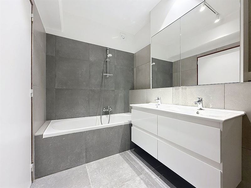 Grand appartement rénové 4 chambres et terrasses