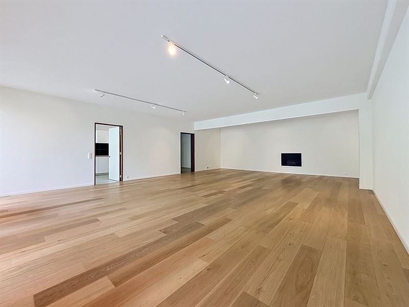 Grand appartement rénové 4 chambres et terrasses