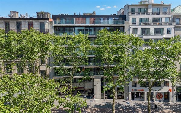 Grand appartement rénové 4 chambres et terrasses