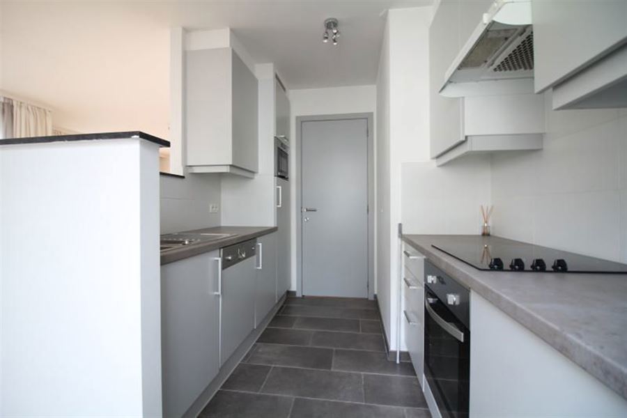 Appartement avec belle terrasse quartier Louise