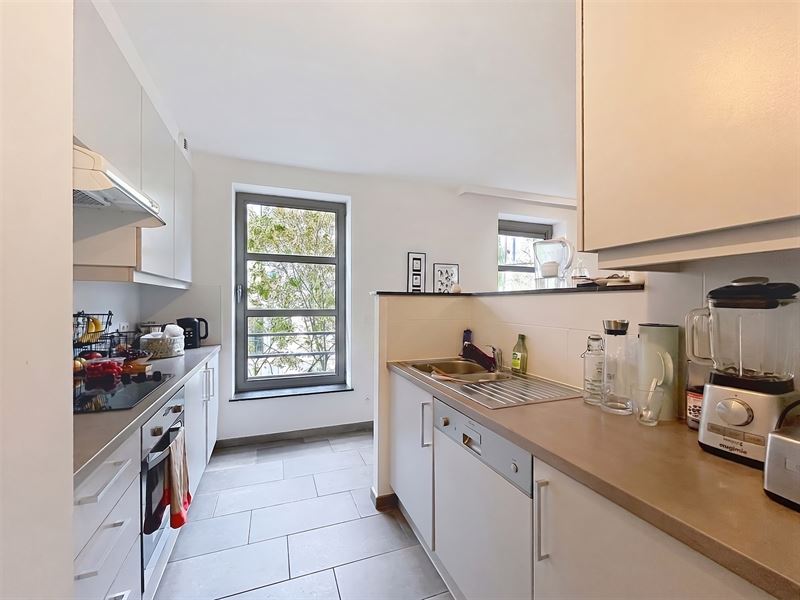 Appartement avec belle terrasse quartier Louise