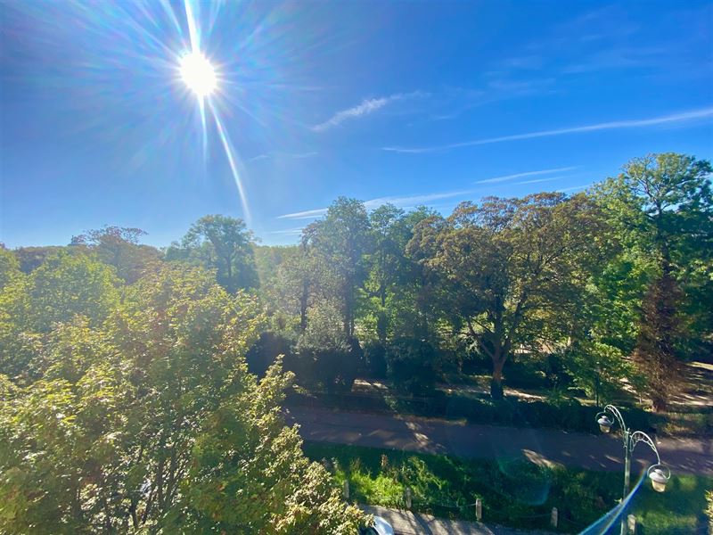 Appartement en façe du parc du cinquantenaire