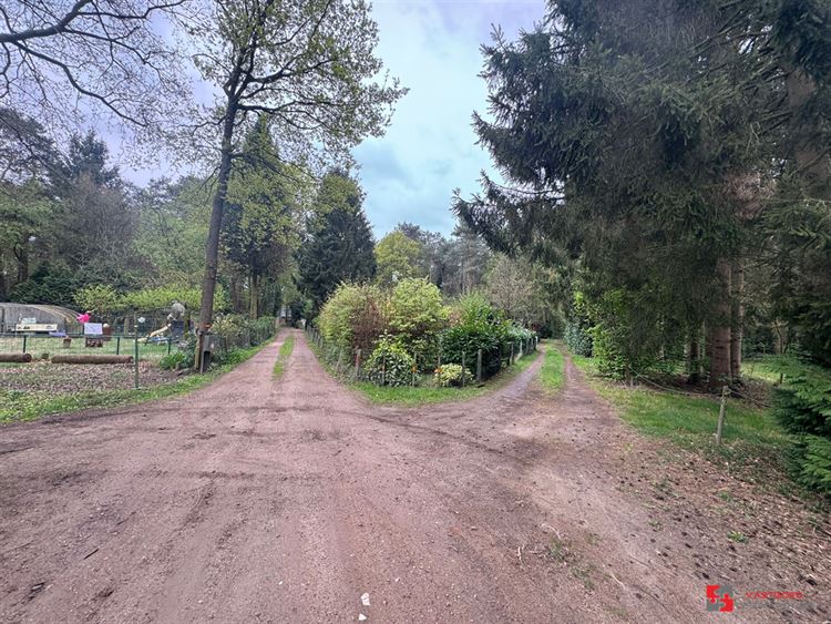 Foto 15 : Groene zone te 2275 LILLE (België) - Prijs € 35.000
