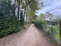 Foto 14 : Groene zone te 2275 LILLE (België) - Prijs € 35.000