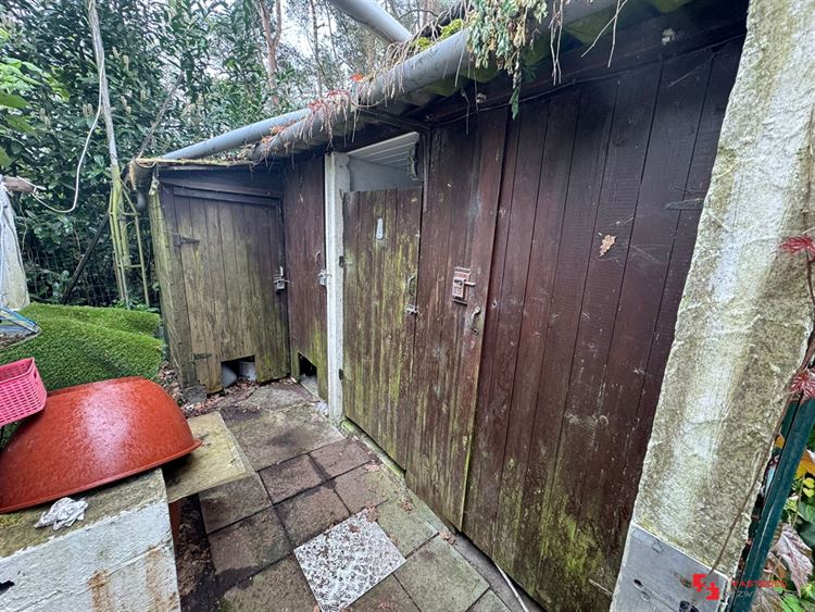 Foto 13 : Groene zone te 2275 LILLE (België) - Prijs € 35.000