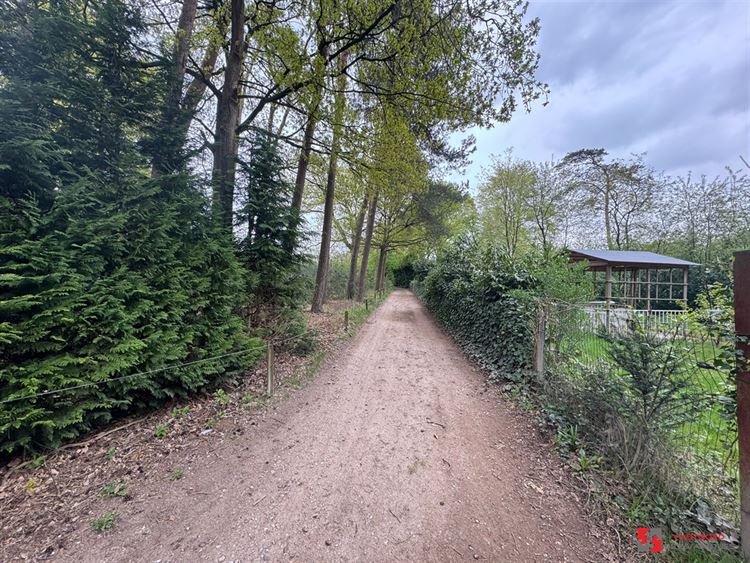 Foto 14 : Groene zone te 2275 LILLE (België) - Prijs € 35.000