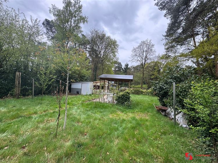 Foto 12 : Groene zone te 2275 LILLE (België) - Prijs € 35.000