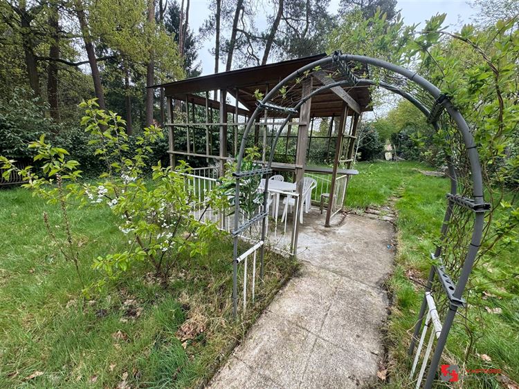 Foto 4 : Groene zone te 2275 LILLE (België) - Prijs € 35.000