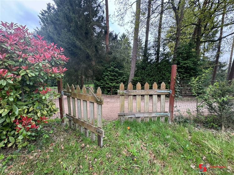 Foto 3 : Groene zone te 2275 LILLE (België) - Prijs € 35.000