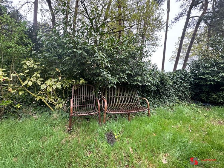 Foto 5 : Groene zone te 2275 LILLE (België) - Prijs € 35.000
