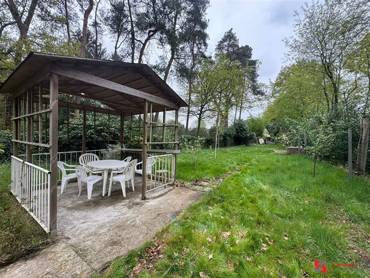 Foto 2 : Groene zone te 2275 LILLE (België) - Prijs € 35.000