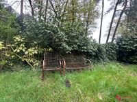 Foto 5 : Groene zone te 2275 LILLE (België) - Prijs € 35.000