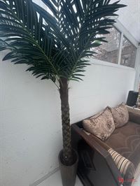 Foto 6 : Eigendom te 2020 ANTWERPEN (België) - Prijs € 379.000 Foto 6 : Eigendom te 2020 ANTWERPEN (België) - Prijs € 379.000