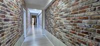 Foto 3 : Gelijkvloers te 2600 BERCHEM (België) - Prijs &euro; 950