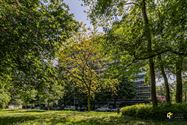 Handelsruimte in BERCHEM