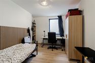 KOT / Kamer in ANTWERPEN