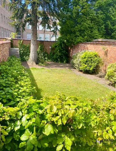 Gelijkvloers in ANTWERPEN