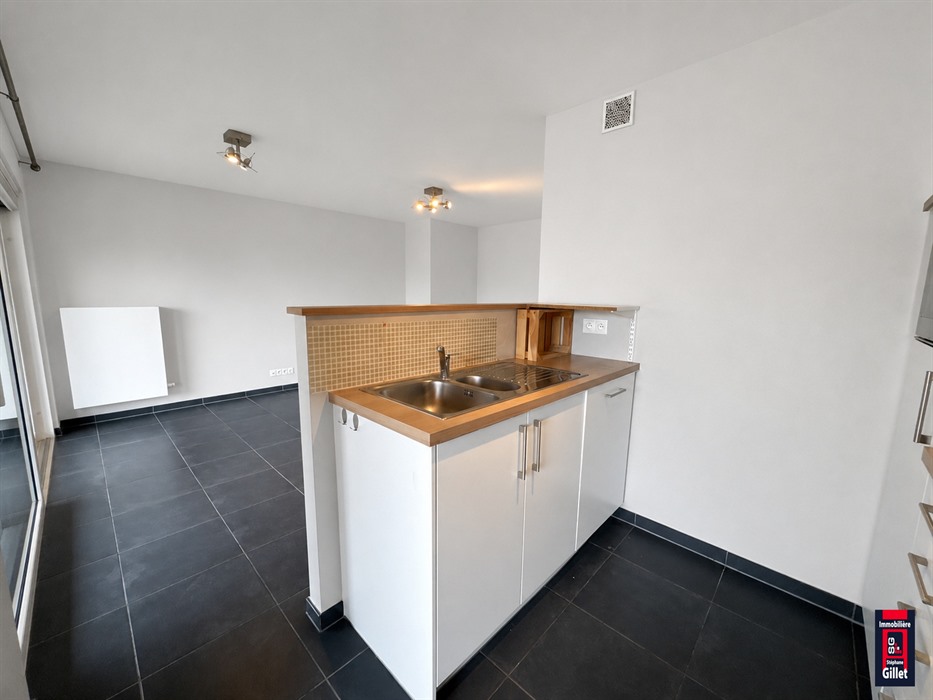 Agréable appartement 2 chambres à Seilles