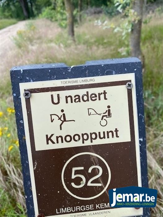 Prachtig perceel bosgrond van +/- 25 are te Oudsbergen