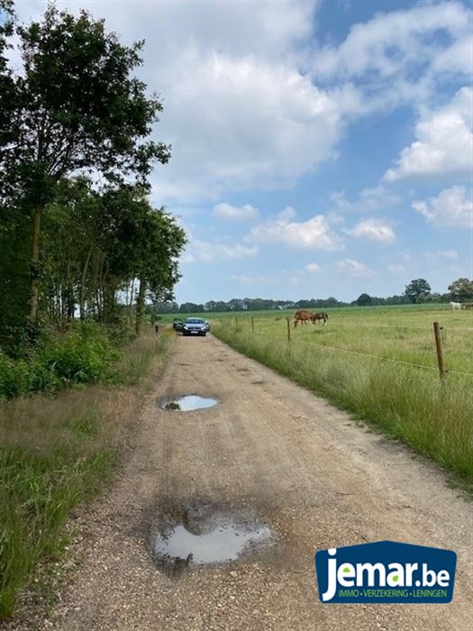 Prachtig perceel bosgrond van +/- 25 are te Oudsbergen