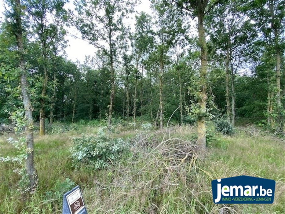 Prachtig perceel bosgrond van +/- 25 are te Oudsbergen
