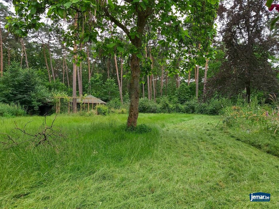 Te renoveren villa op toplocatie te Maasmechelen!