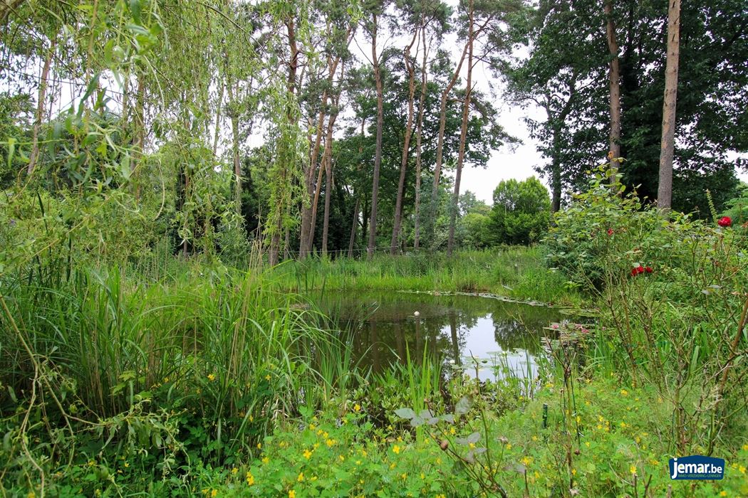 Te renoveren villa op toplocatie te Maasmechelen!