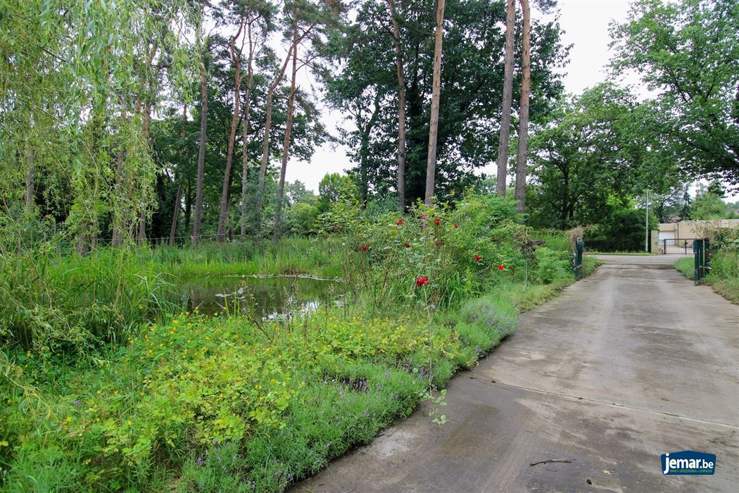 Te renoveren villa op toplocatie te Maasmechelen!