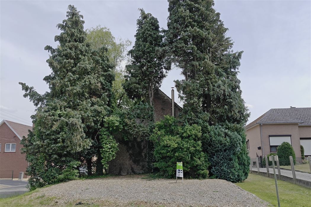 Unieke hoeve op 5a93ca in Eigenbilzen