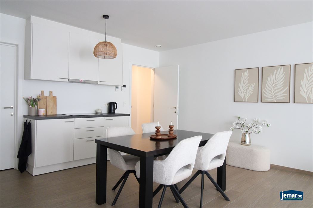 Instapklaar, gelijkvloers en energiezuinig appartement met terras en autostaanplaats in Opgrimbie!