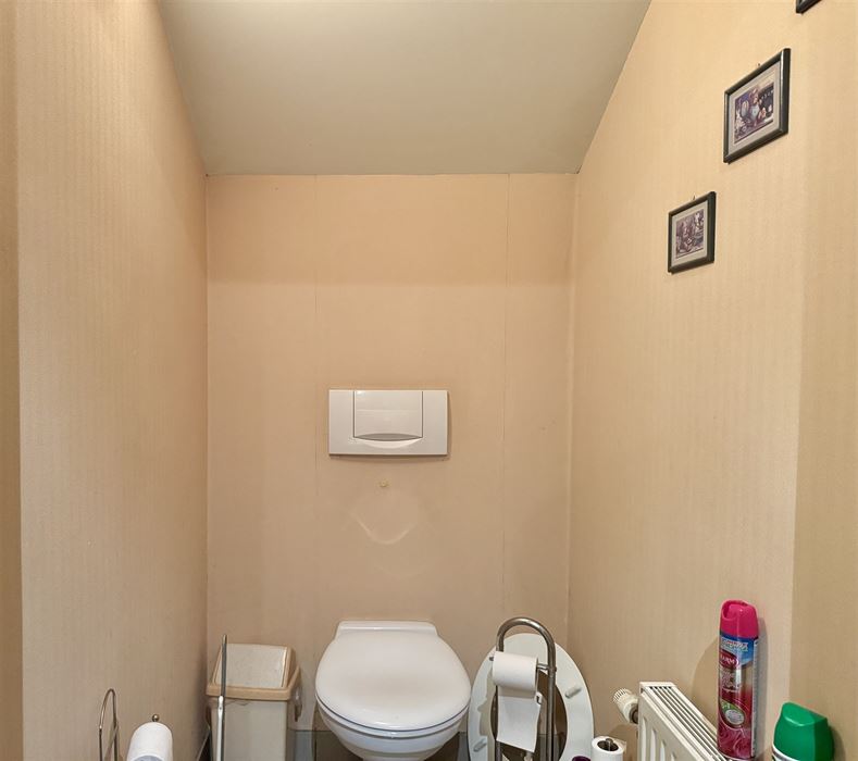 Hoeve met paardenaccomodatie.