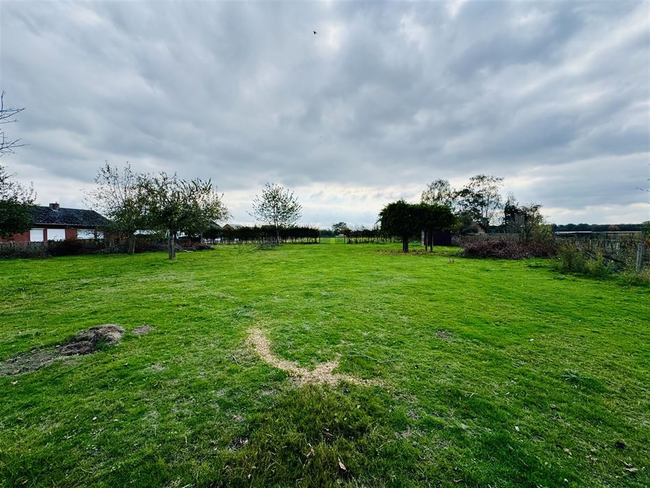 Hoeve met paardenaccomodatie.