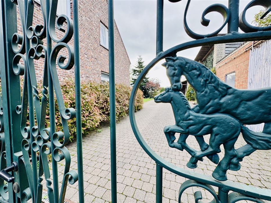Hoeve met paardenaccomodatie.