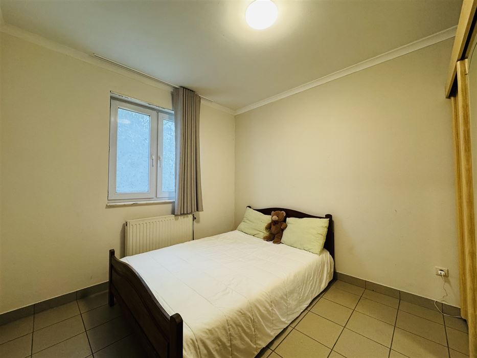 Hoeve met paardenaccomodatie.