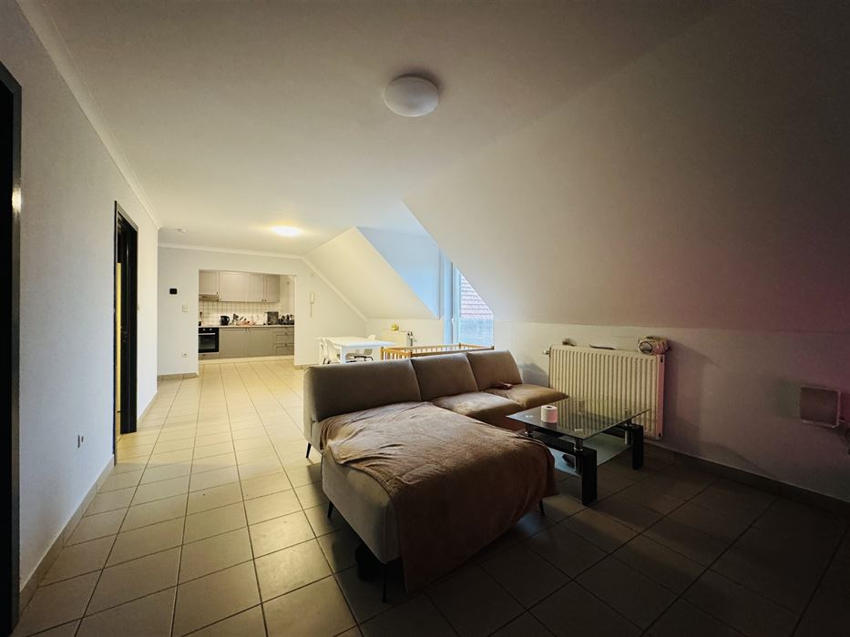 Hoeve met paardenaccomodatie.