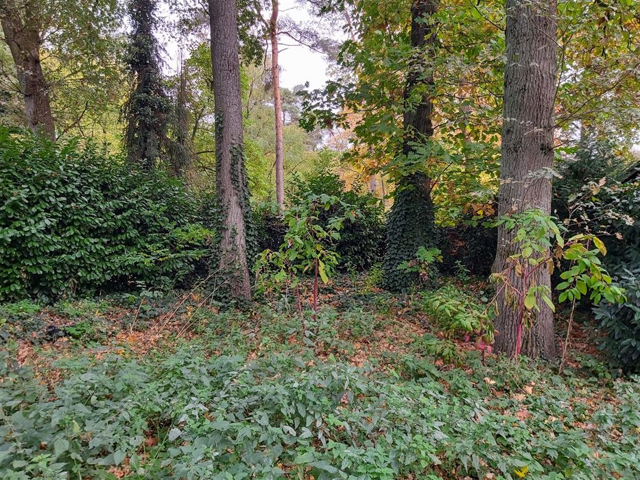 Vakantiewoning met 2 slaapkamer en inboedel op vakantiedomein Sonnevijver te Rekem!