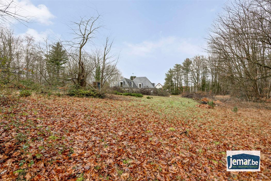 Villa met professionele opslagruimte, kelder en kantoorruimtes.
