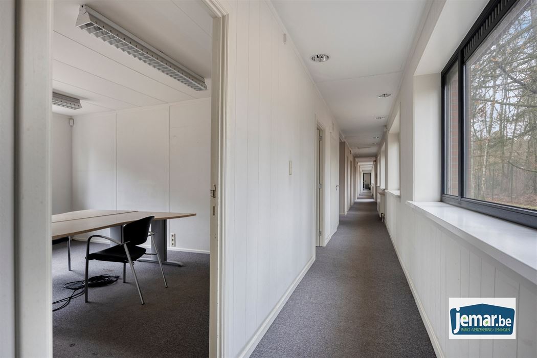 Villa met professionele opslagruimte, kelder en kantoorruimtes.