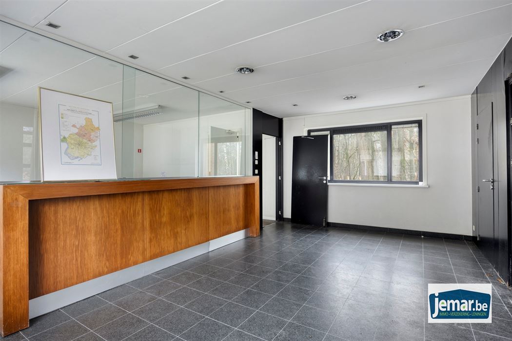 Villa met professionele opslagruimte, kelder en kantoorruimtes.