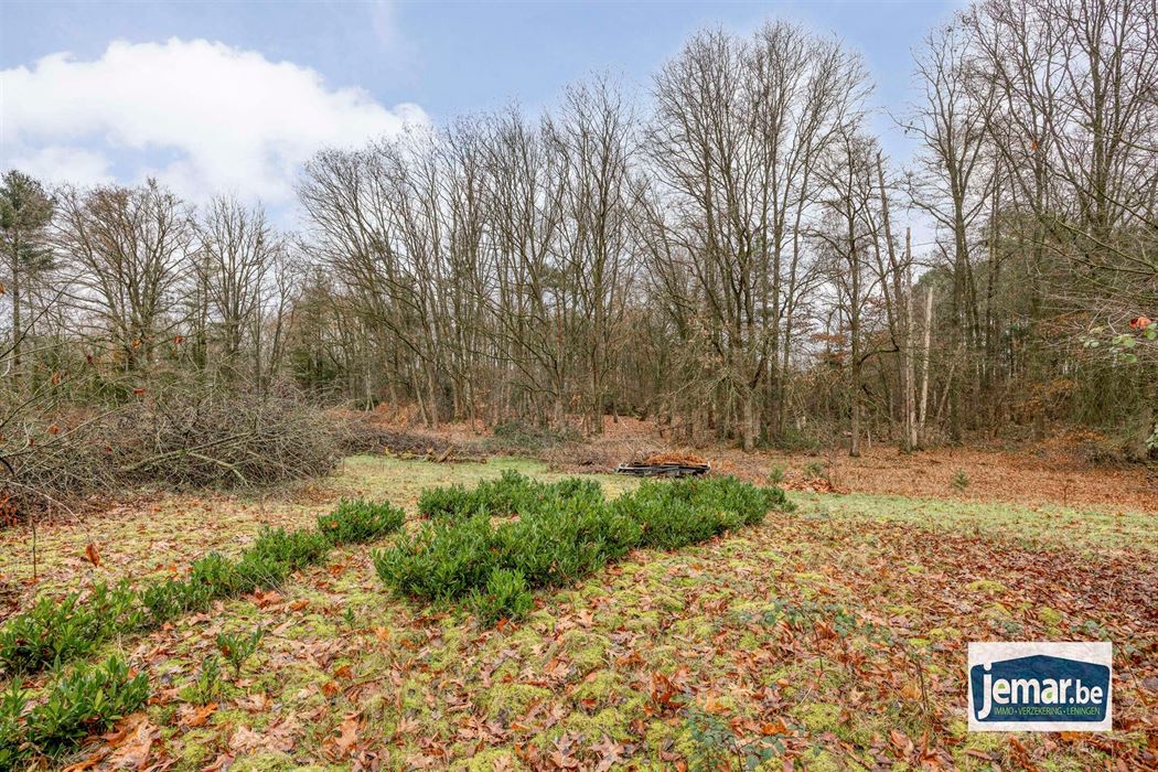 Villa met professionele opslagruimte, kelder en kantoorruimtes.