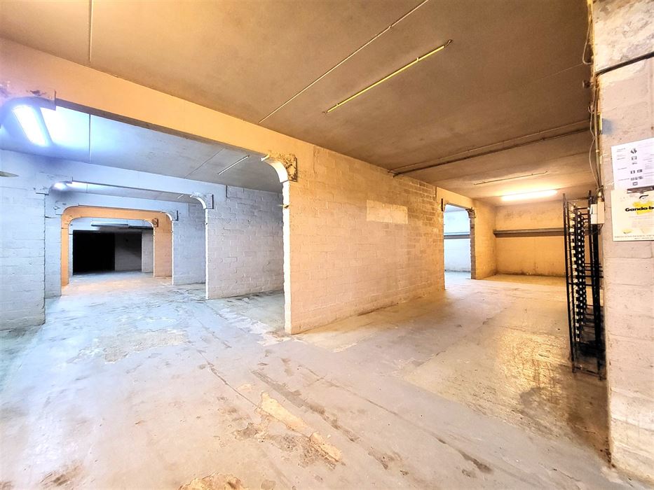 Villa met professionele opslagruimte, kelder en kantoorruimtes.