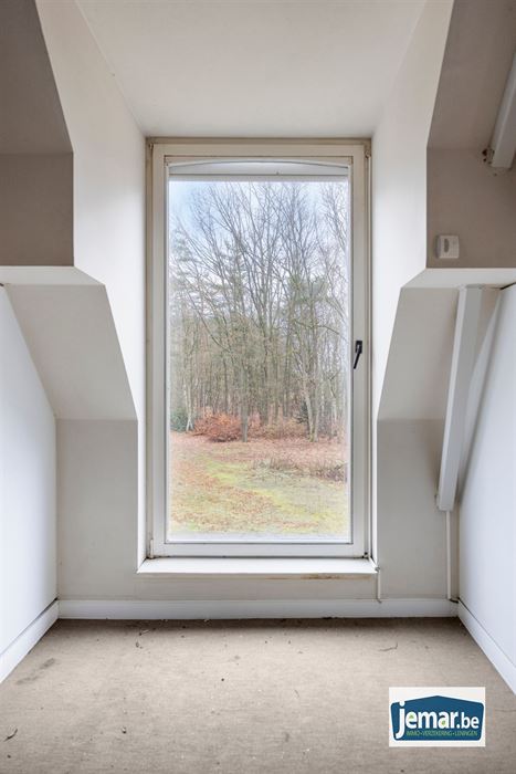 Villa met professionele opslagruimte, kelder en kantoorruimtes.