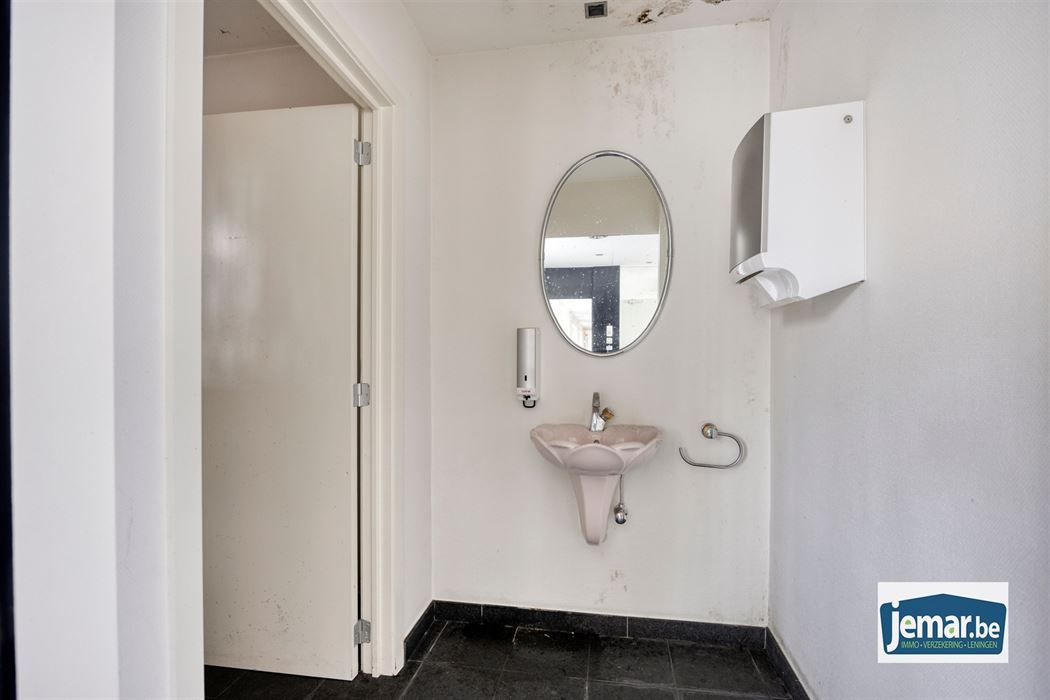 Villa met professionele opslagruimte, kelder en kantoorruimtes.