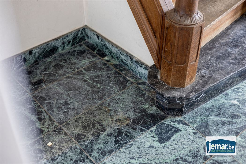 Villa met professionele opslagruimte, kelder en kantoorruimtes.