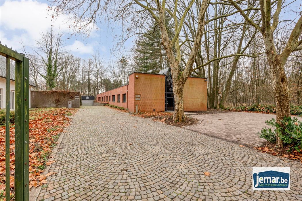 Villa met professionele opslagruimte, kelder en kantoorruimtes.