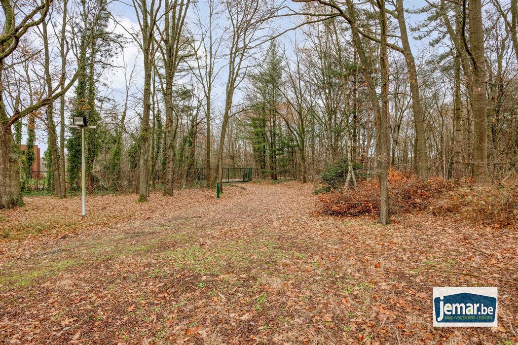 Villa met professionele opslagruimte, kelder en kantoorruimtes.