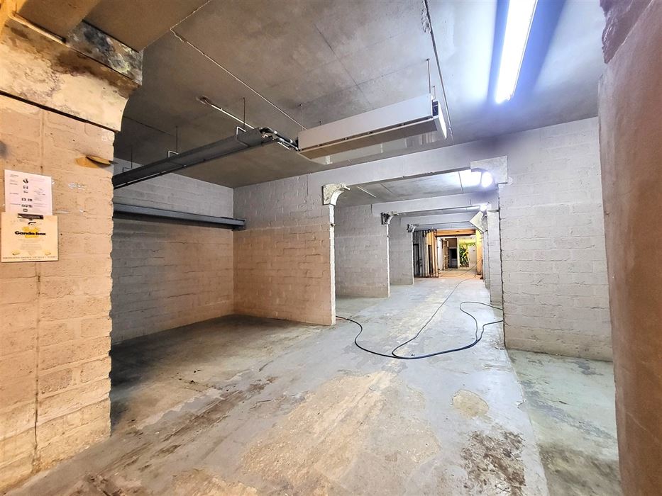 Villa met professionele opslagruimte, kelder en kantoorruimtes.